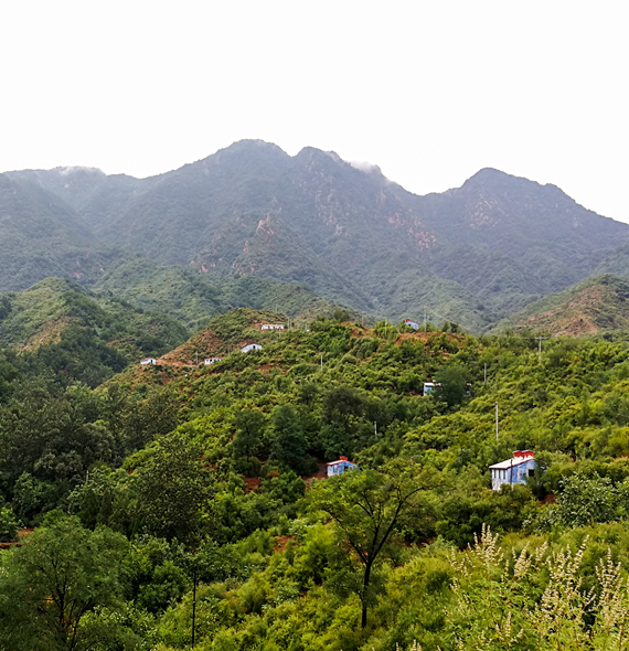 國家柴雞生態(tài)養(yǎng)殖基地